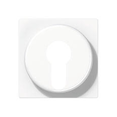 Jung AS500 Control Element/Central Plate Switchgear - A528PLWW