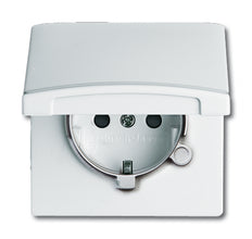 ABB Busch-Jaeger Wall Outlet (WCD Switchgear) - 2CKA002064A0294