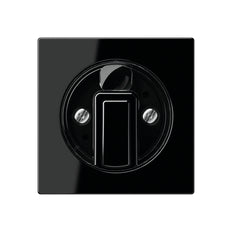 Jung Control Element/Central Plate Switchgear - A1541SW