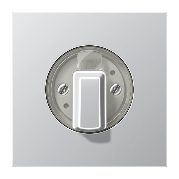 Jung Aluminum/Gold Steel/Chrome Control Element/Central Plate Switchgear - AL1941