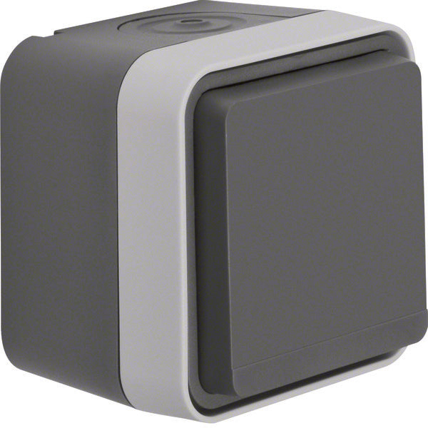 Hager Berker W.1 Wall Outlet (WCD Switchgear) - 47403515