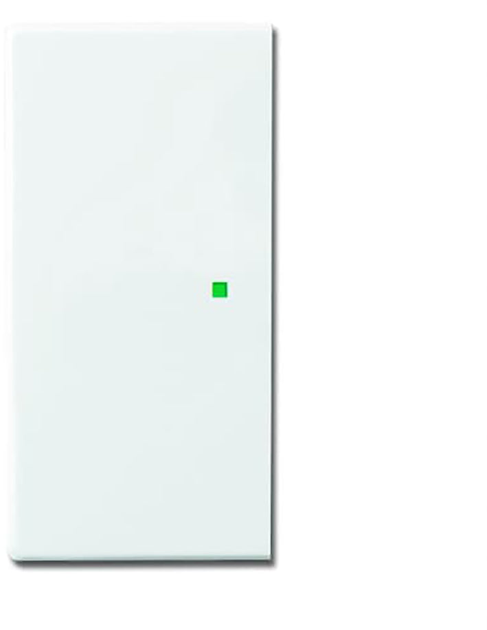 ABB Busch-Jaeger Busch-FreeAtHome Control Element/Central Plate Switchgear - 2CKA006220A0049 [2 Pieces]