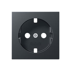 Jung Control Element/Central Plate Switchgear - A1520BFPLANM