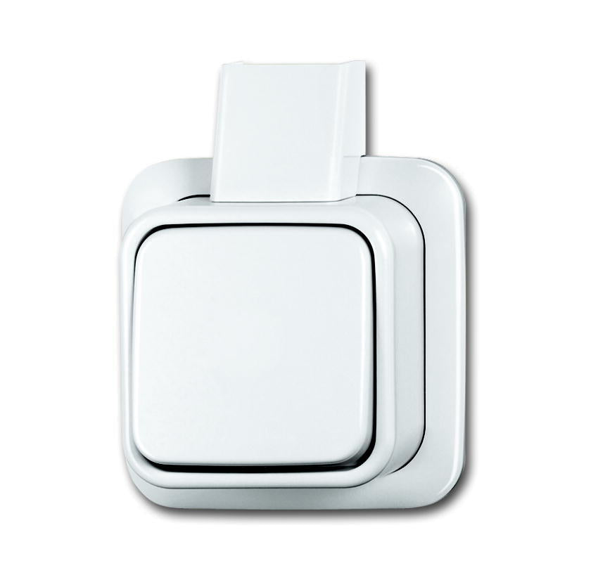 ABB Busch-Jaeger Surface-Mounted Standard Installation Switch - 2CKA001042A1025