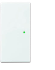 ABB Busch-Jaeger Busch-FreeAtHome Control Element/Central Plate Switchgear - 2CKA006220A0360 [2 Pieces]