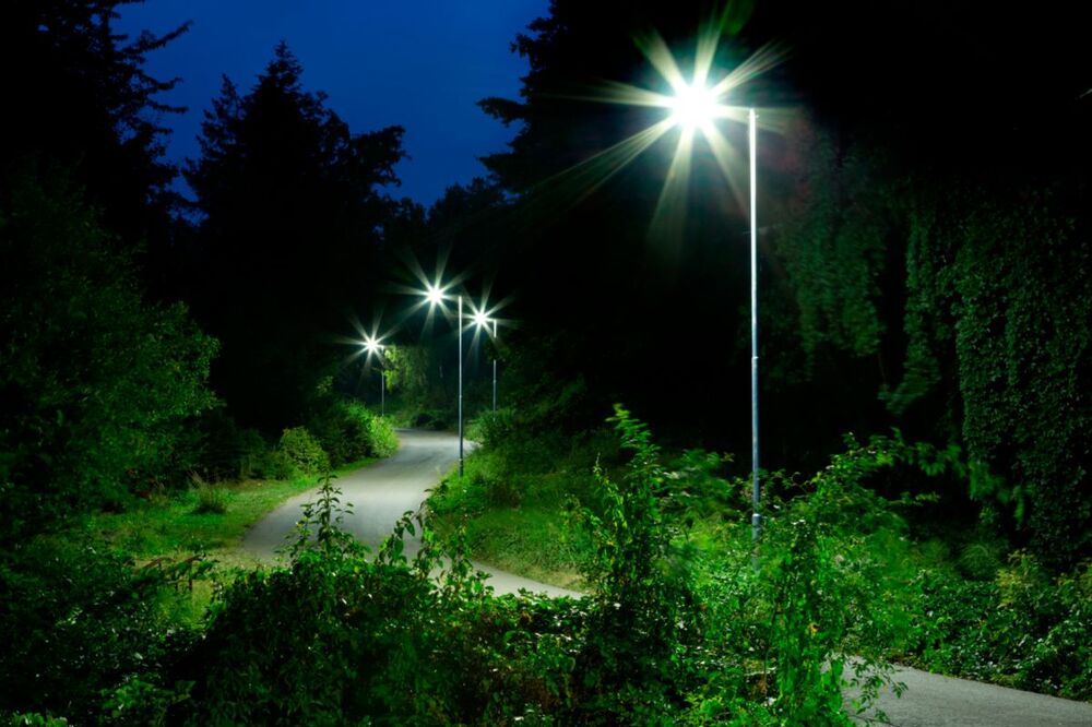 Philips TrueForce Core LED-lamp - 75027500