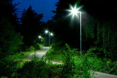 Philips TrueForce Core LED-lamp - 75031200
