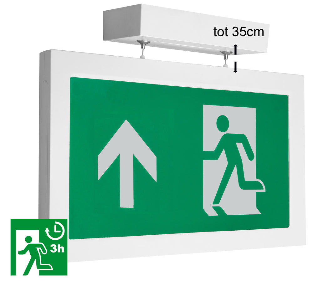 Megaman Emergency Lighting Fixture - MM10487