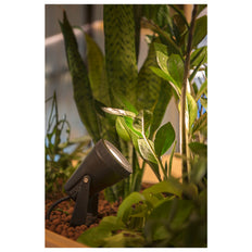 SLV Samrina Garden/footpath Lighting Fixture - 1004757