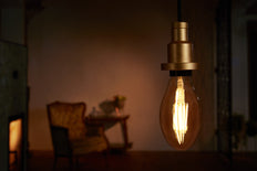 Osram Vintage 1906 LED bulb - 4052899962095