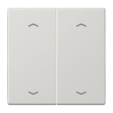 Jung EnO Funk Wall Transmitter LS990 4-Channel With Symbols - ENOLS995MPLG