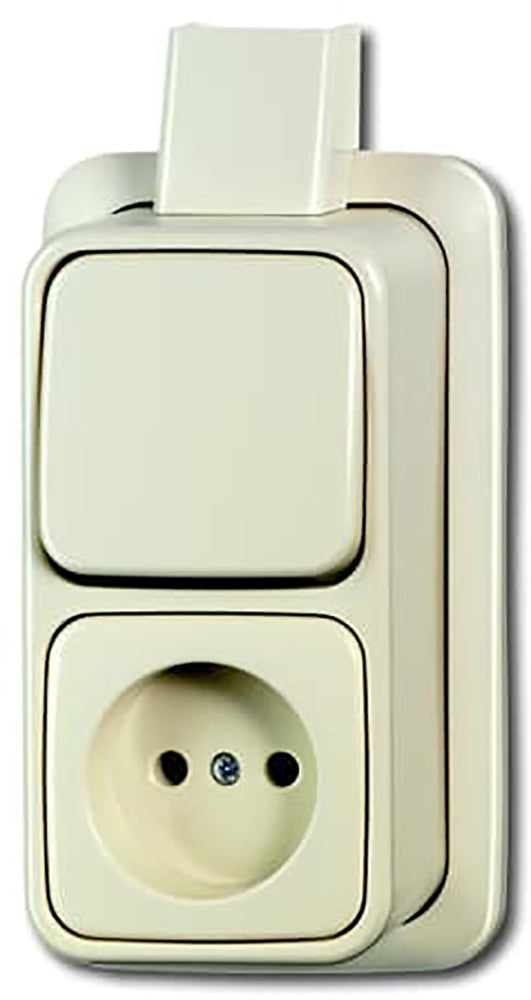 ABB Busch-Jaeger Combination Switch Plate Socket Outlet - 2CKA001642A0157