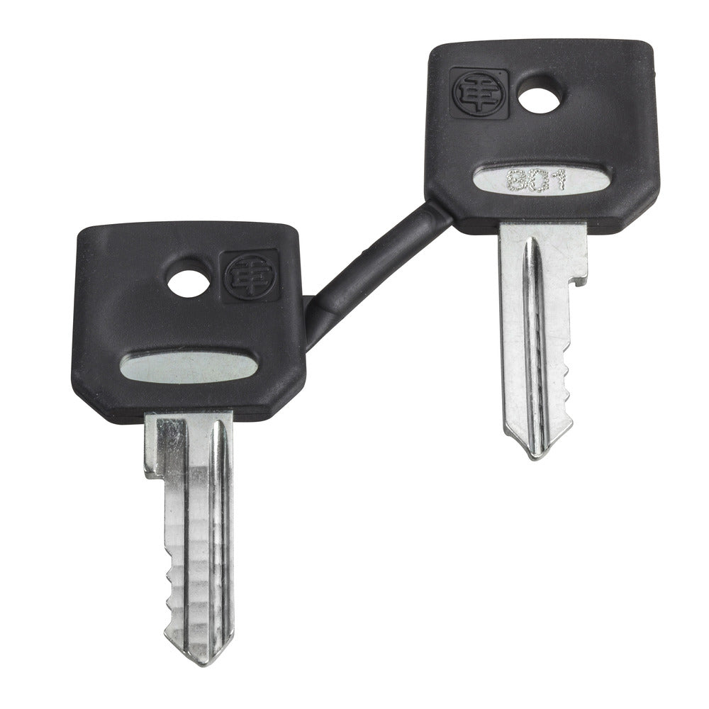 Schneider Electric Ronis 455 Key Set With Protective Boot - ZBG455P