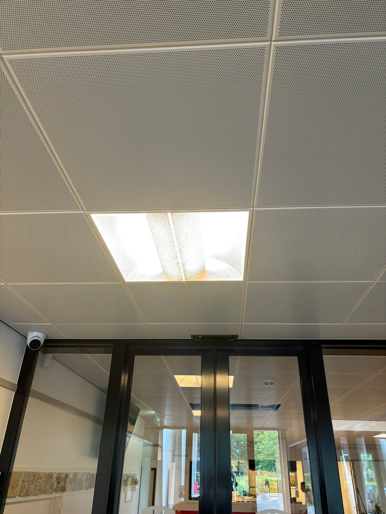 Bailey LED PL 2G11 24W 4000K Professional Lamp - 80100038477