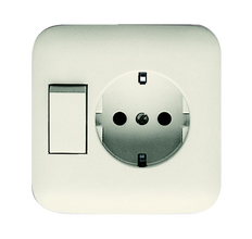 ABB Busch-Jaeger SI Combined Switch Socket Outlet Cream - 2CKA001611A0110