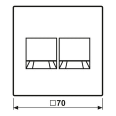 LS Series Dual Modular Jack Cover Stainless Steel - ES1969-2WE