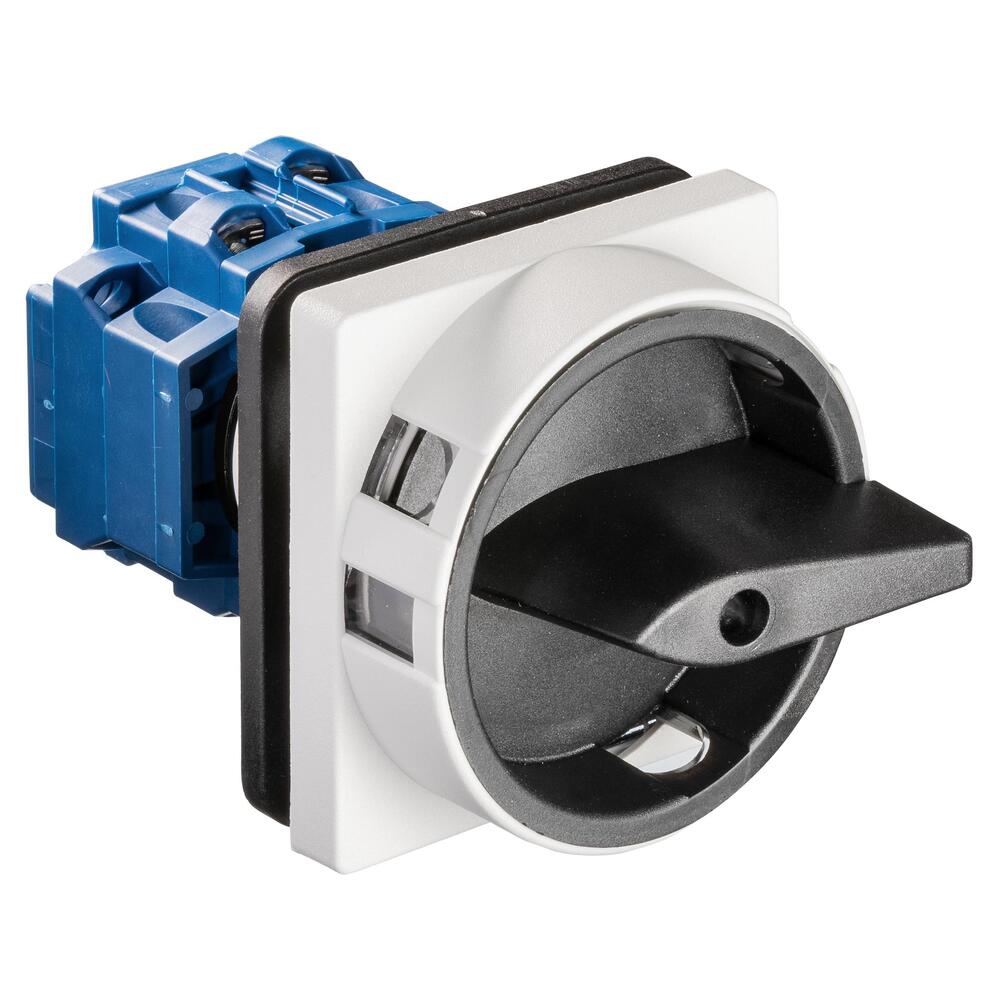 Kraus & Naimer KG10 2-Pole Main Switch 16A IP66 - 70009858