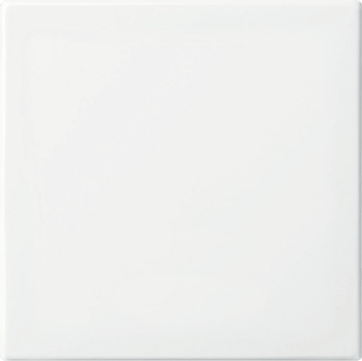 ABB Smart Switch Rocker Balance White - 2CKA006730A0162 [10 Pieces]