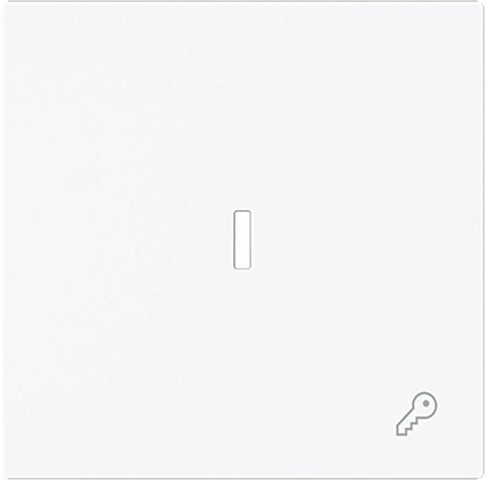 ABB Busch Single Rocker Switch With Key Symbol And Lens - 2CKA001751A3377