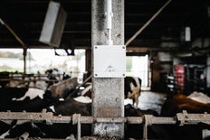 Spelsberg Pro Junction Box IP69 Black - 40600001