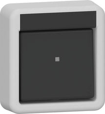 Gira Cross Switch Rocker 10AX 250V Grey - 310735