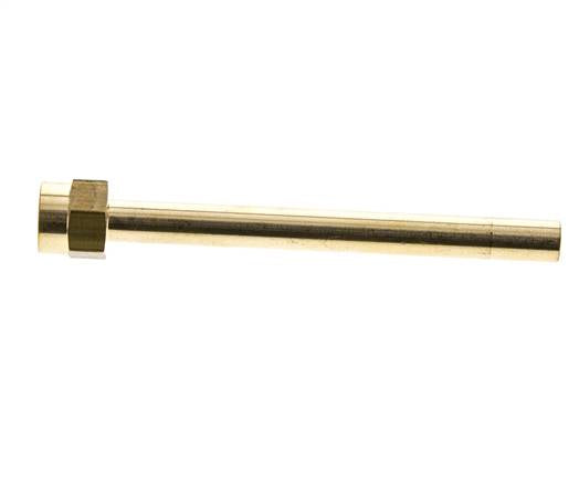 M14x1.5 Female Threaded Brass Pipe 120 mm long
