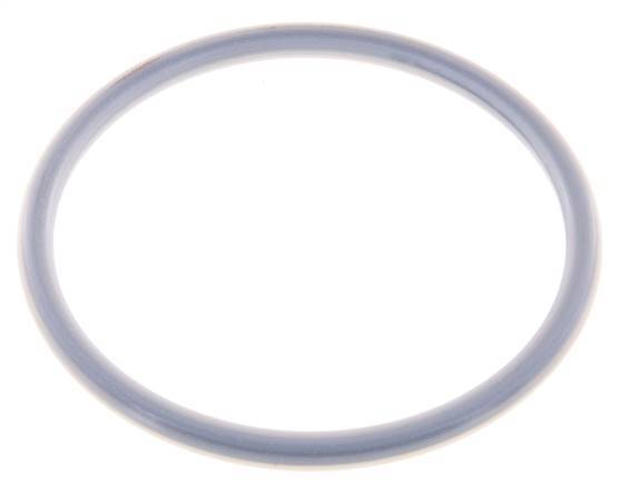 PTFE/FPM Seal 100 mm for Tank Truck Coupling MK/MB Type EN 14420-6