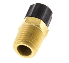 6x4 & 1/4''NPT Brass Straight Push-on Fitting with Male Threads [2 Pieces]