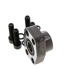 3/4'' SAE Flange 3000 PSI Plain Steel with G3/4'' Female Threads ISO 6162-1