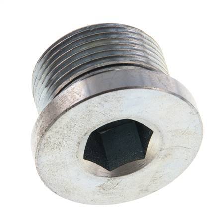 Plug M26 X 1.5 Steel NBR with Internal Hex 400bar (5620.0psi)