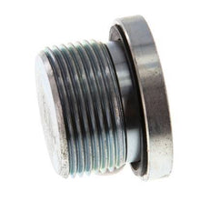 Plug M26 X 1.5 Steel NBR with Internal Hex 400bar (5620.0psi)