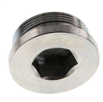 Plug M48 X 2 Steel NBR with Internal Hex 250bar (3512.5psi)