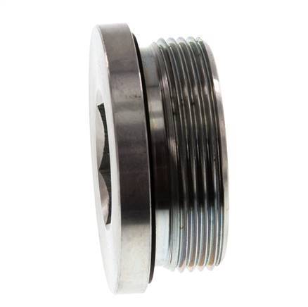 Plug M48 X 2 Steel NBR with Internal Hex 250bar (3512.5psi)