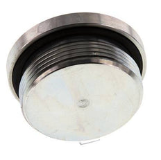 Plug M48 X 2 Steel NBR with Internal Hex 250bar (3512.5psi)