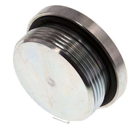 Plug M48 X 2 Steel NBR with Internal Hex 250bar (3512.5psi)