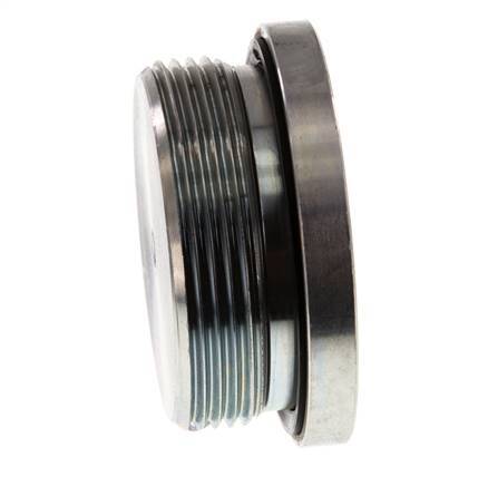 Plug M48 X 2 Steel NBR with Internal Hex 250bar (3512.5psi)