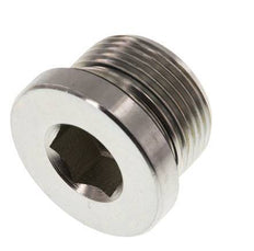 Plug M24 X 1.5 Steel NBR with Internal Hex 400bar (5620.0psi)