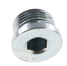 Plug M27 X 2 Steel FKM with Internal Hex 400bar (5620.0psi)