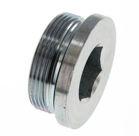 Plug M48 X 2 Steel FKM with Internal Hex 250bar (3512.5psi)