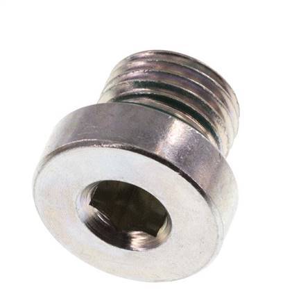 Plug M10 X 1 Steel FKM with Internal Hex 400bar (5620.0psi) [2 Pieces]