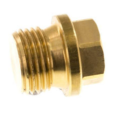 Plug G1/2'' Brass with Collar and External Hex 16bar (224.8psi) [2 Pieces]