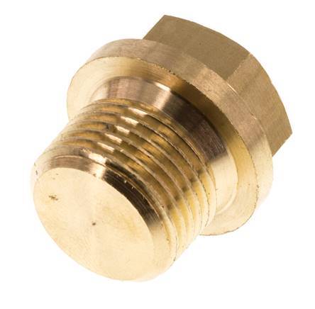 Plug G3/8'' Brass with Collar and External Hex 16bar (224.8psi) [2 Pieces]