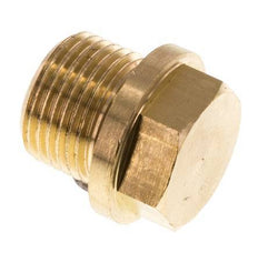 Plug G3/8'' Brass with Collar and External Hex 16bar (224.8psi) [2 Pieces]