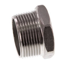 Plug R1 1/4'' Stainless steel with External Hex 16bar (224.8psi)