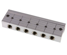 Distributor Bar with Ball Valves 2xG3/8'' - 6xG1/4'' Stainless Steel PN 10