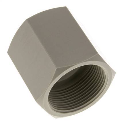 Socket G1 1/2'' Female Polypropylene (pp) 10bar (140.5psi) FDA 55mm Hex