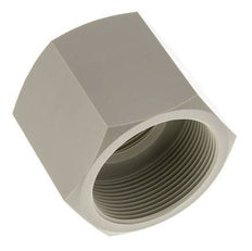 Socket G2'' Female Polypropylene (pp) 10bar (140.5psi) FDA 70mm Hex