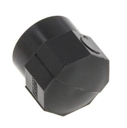 PVC End Cap Rp 3/8'' [5 Pieces]