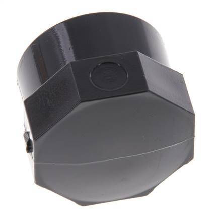 PVC End Cap Rp 3/4'' [5 Pieces]