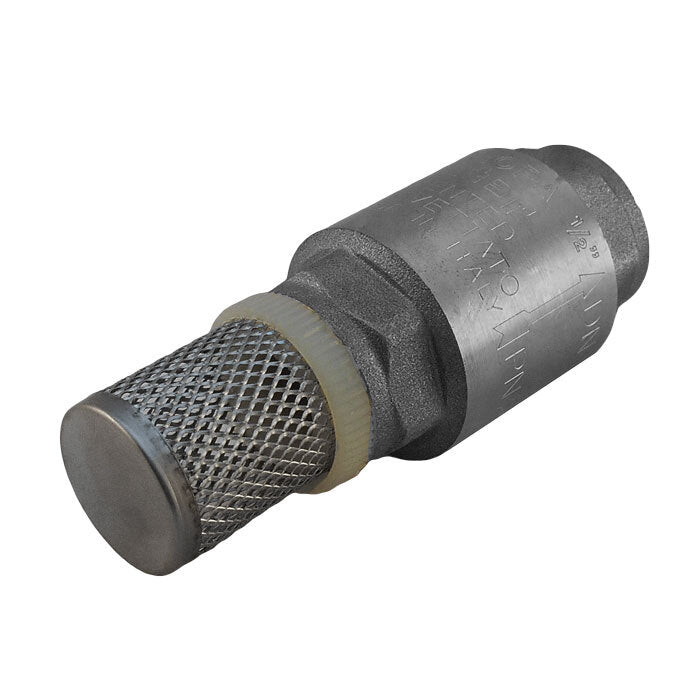 Foot Valve Stainless Steel G2''